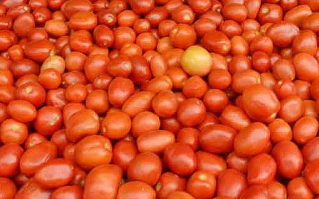 ٹماٹر کی قیمت میں اچانک بڑا اضافہ  