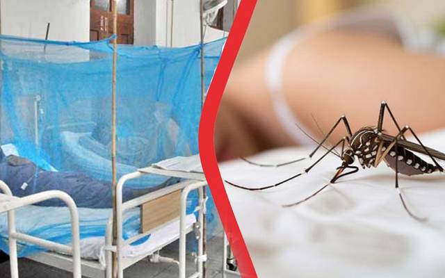بارشوں کے باعث ڈینگی کے پھیلنے کا خدشہ