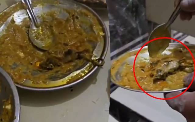 ہوٹل کے کھانے سے مردہ چوہا نکل آیا، ویڈیو نے سب کو ہلا کر رکھ دیا