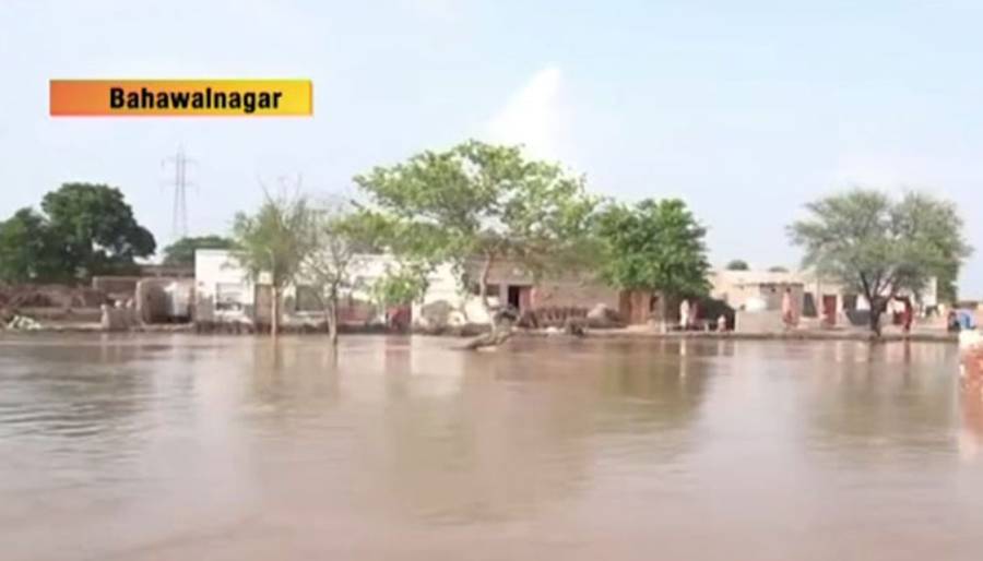Satluj River Flooding, Qasur, Bahawalnagar, Bahawalpur flood, Pakistan Floods 