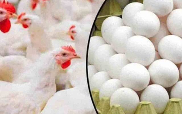 برائلر گوشت اور انڈوں کی نئی قیمتوں نے ہوش اُڑا دیے 