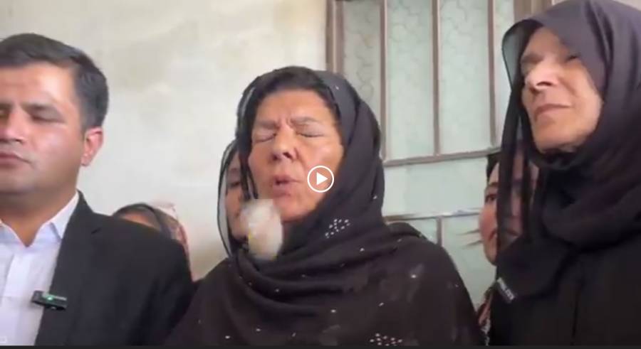 Aleema Khan egg, Adiala Jail Rawalpindi, City42 , Mohsin Naqvi tweet, social media , viral video 