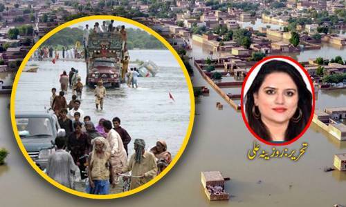 پاکستان کو ایک نہیں 9 اقسام کے سیلابوں سے خطرہ، لیٹ مون سون کا بھی خدشہ، مستقبل کیا ہوگا؟ 