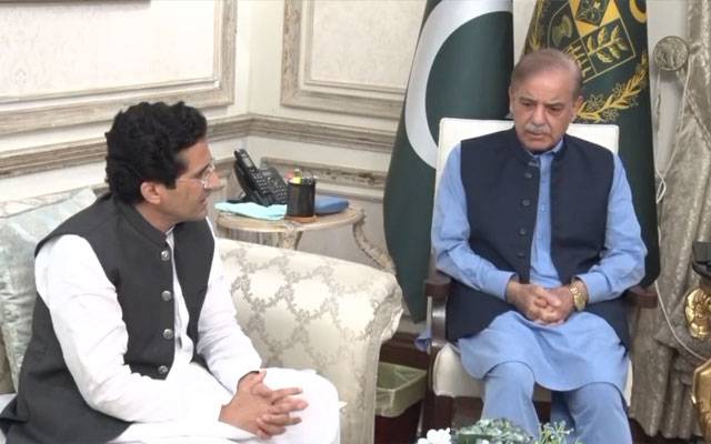  وزیراعظم سے وفاقی وزیر برائے پیٹرولیم علی پرویز ملک کی ملاقات