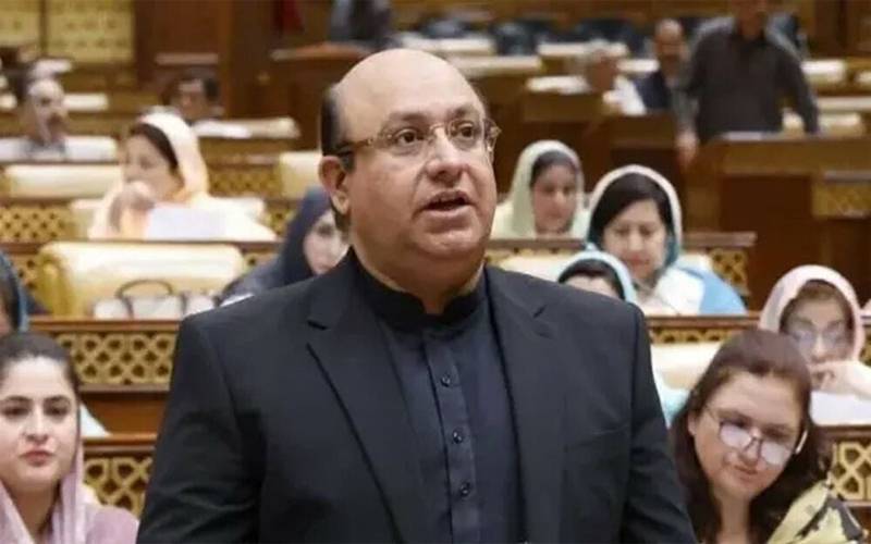 وزیر خزانہ پنجاب کا سیلاب متاثرین کے بجلی بلوں میں خصوصی رعایت کااعلان  