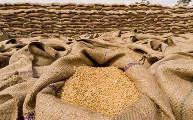  پنجاب میں گندم ذخیرہ اندوزوں پر خفیہ رپورٹ تیار