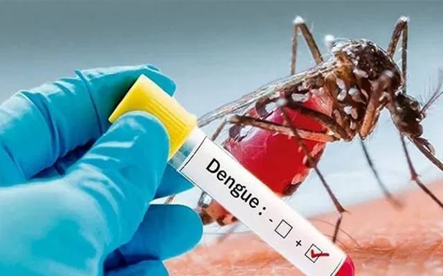 اسلام آباد میں ڈینگی کے 3نئے کیس رپورٹ