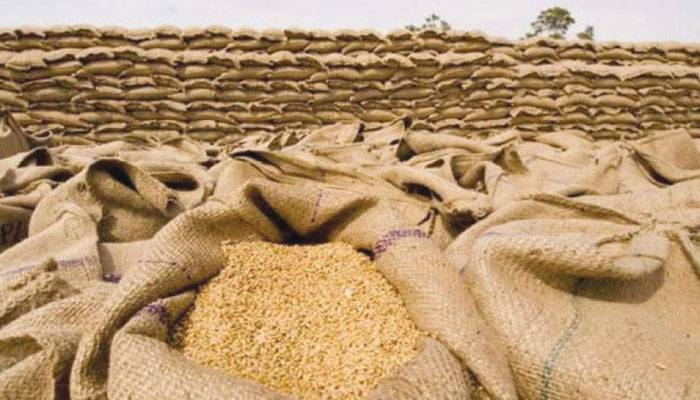 گندم کے گوداموں پر چھاپے، 3کروڑ روپے مالیت کی 400 ٹن گندم برآمد