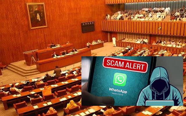 فیک کالز اور واٹس ایپ  فراڈ؛ اراکین سینٹ بھی لٹ گئے 