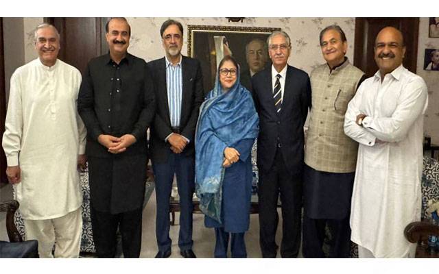 فریال تالپور سے پنجاب کے سینئر پارٹی رہنماؤں کی ملاقات 