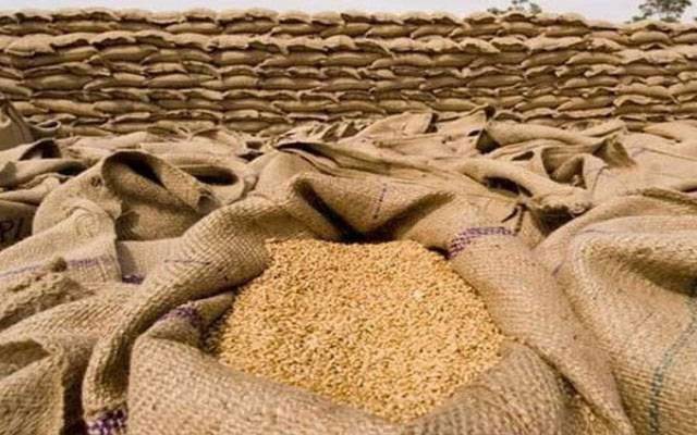  پنجاب میں فیڈ ملز کے غیر ڈکلیئر شدہ گندم کے ذخائر بے نقاب