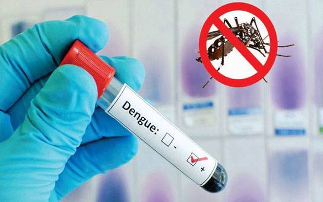 لاہور : ڈینگی کیسز میں اضافہ، مجموعی تعداد 114 تک پہنچ گئی