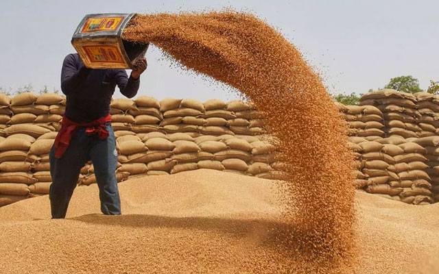 ذخیرہ اندوزی کیخلاف کریک ڈاؤن، 2 لاکھ 91 ہزارمن سے زائد گندم ضبط 