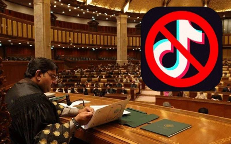 پنجاب اسمبلی میں ٹک ٹاک لائیو پر پابندی کیلئے قرارداد جمع  
