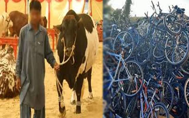لاہور میں سینکڑوں سائیکلیں اور مویشی چوری ؛ پولیس رپورٹ سامنے آگئی 