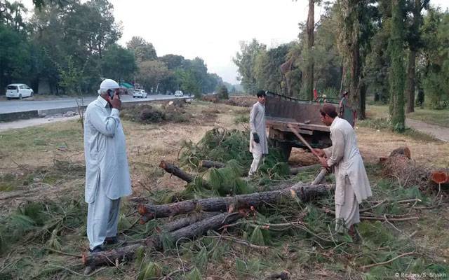 شہر میں درختوں کی کٹائی کا سلسلہ جاری، ماحول کو سنگین خطرات لاحق