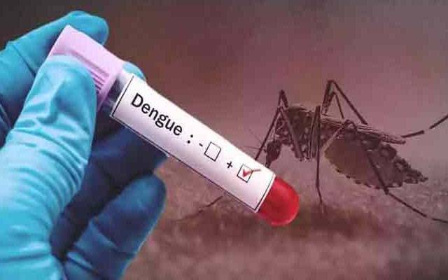 لاہور میں ڈینگی کے حملے، 9نئے مریض رپورٹ