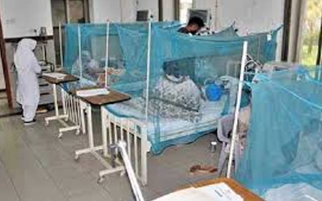 وفاقی دارلحکومت میں ڈینگی بے قابو ہونے لگا؛ درجنوں نئے کیسز رپورٹ
