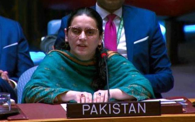 بھارت سب سے بڑی جمہوریت نہیں بلکہ جھوٹ کی فیکٹری ہے; پاکستانی قونصلر