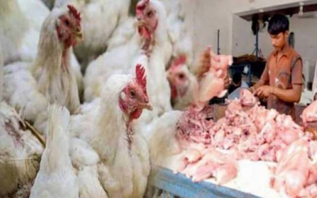 برائلرمرغی کے گوشت کی قیمت میں کمی