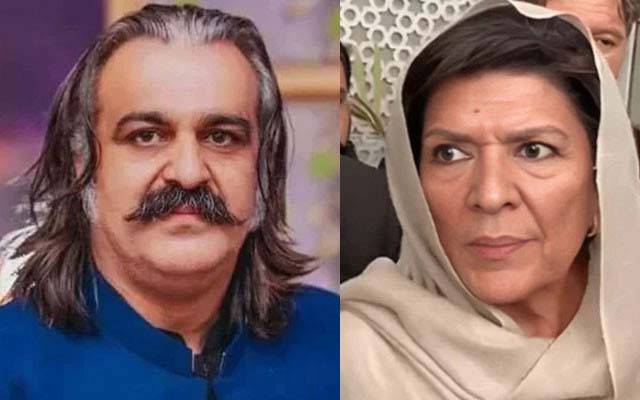 علیمہ خان کو پارٹی چیئرمین بنانے کی مہم چلائی جارہی ہے;علی امین گنڈا پور