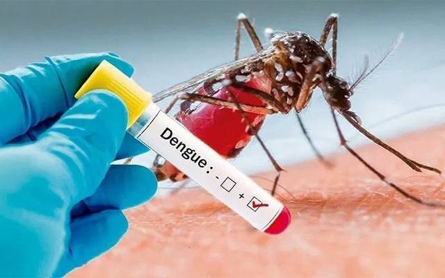 لاہور میں ڈینگی بخار کے 38 نئے مریضوں کی تصدیق 