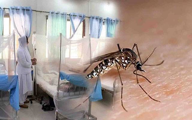 راولپنڈی میں ڈینگی کے وار ، مزید 29 کیسز سامنے آگئے 