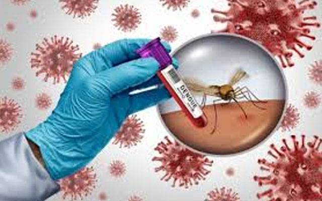 ڈینگی کے وار ، 10 مریضوں میں وائرس کی تصدیق 