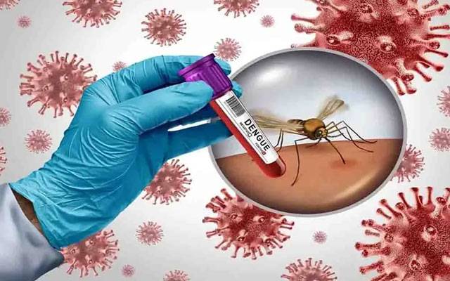 دارالحکومت میں رواں سال 2025 کے  ڈینگی کیسز کی تفصیلات جاری 