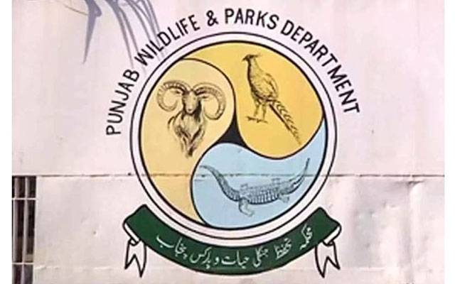 جنگلی حیات کےغیرقانونی شکار و کاروبار کیخلاف کریک ڈاؤن