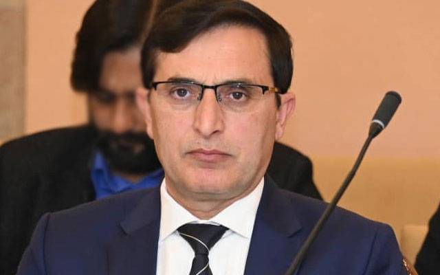 بیرسٹر گوہر نے علی امین کو عہدے پر رکھنے یا ہٹائے جانے کے بیان کی تردید کر دی 