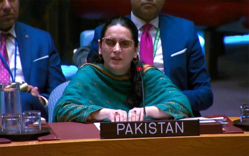 بھارت خطے کو عدم استحکام کا شکار اور دہشت گردی کی سرپرستی کر رہا ہے:پاکستانی مندوب  