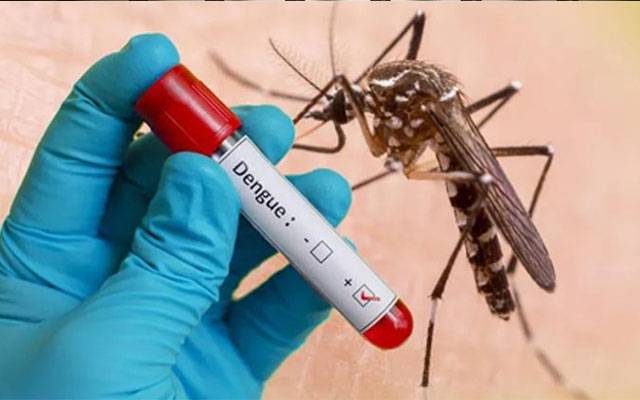 لاہور؛ ڈینگی بخار کے 10 نئے مریضوں کی تصدیق 