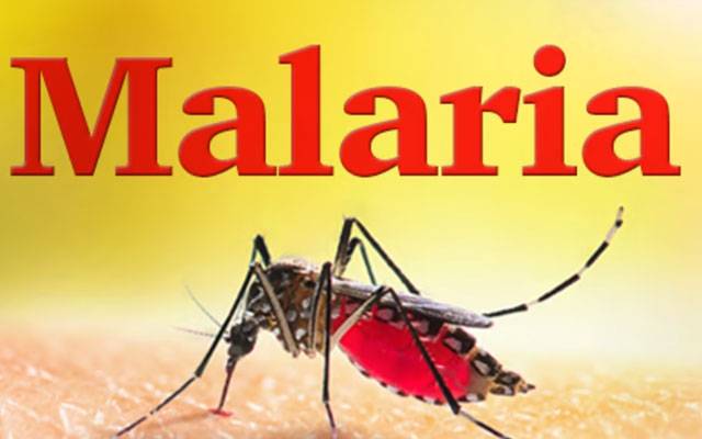 سندھ میں ملیریا کا پھیلاؤ ؛ 15 دن میں 2 لاکھ سے زائد کیسز رپورٹ