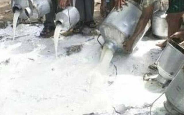 جعلی دودھ بنانے والوں کے خلاف کریک ڈاؤن ؛ ،15ہزار 868 لٹر جعلی دودھ تلف