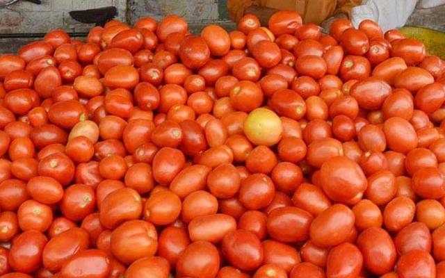 ٹماٹر کی قیمت کو ’پر‘ لگ گئے،فی کلو 560 روپے میں فروخت