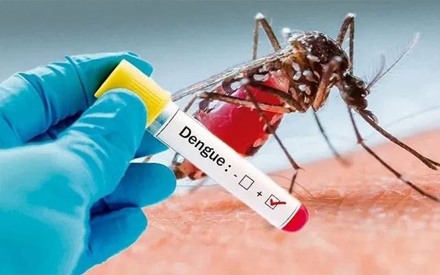 ڈینگی وائرس  کے حملے تیز،ہسپتالوں میں رش لگ گیا