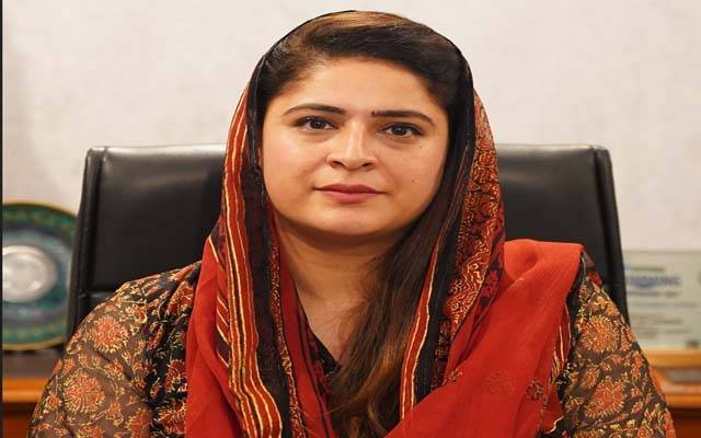 لاہور میں گھریلو ملازمہ پر تشدد؛ چیئرپرسن چائلڈ پروٹیکشن بیورو نے نوٹس لے لیا