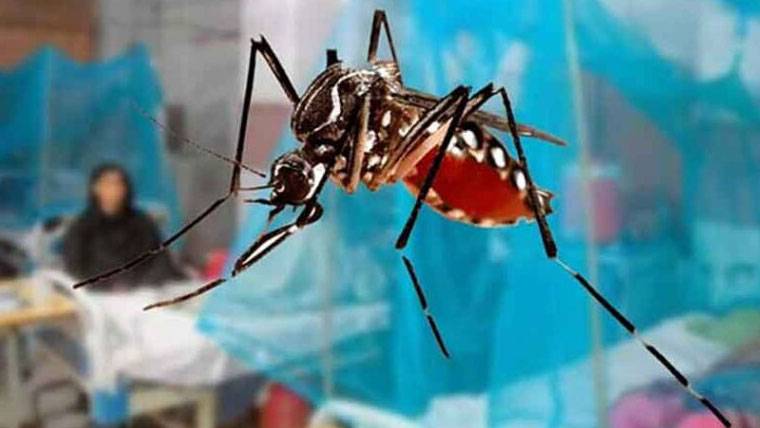 لاہور میں ڈینگی کے 29 نئے مریض،مجموعی تعداد 457 ہوگئی