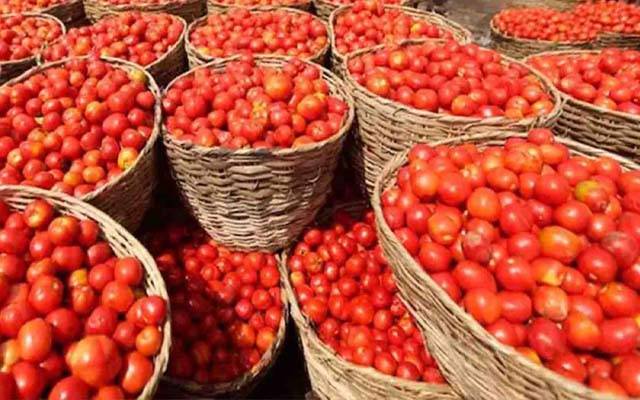ٹماٹر سستا ہونے کے قریب؛ نئے ریٹ سامنے آگئے 