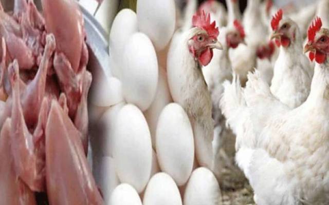 شہر میں برائلر گوشت کی قیمت میں 29 روپے اضافہ