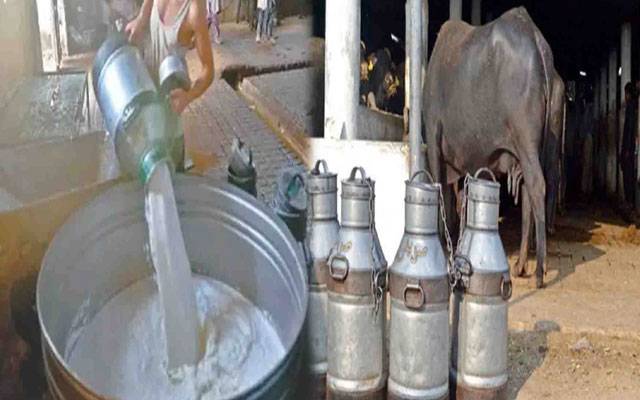  دودھ کی قیمتوں پر بڑا تنازع: ڈیری فارمرز اور دودھ فروش آمنے سامنے، بحران کا خدشہ