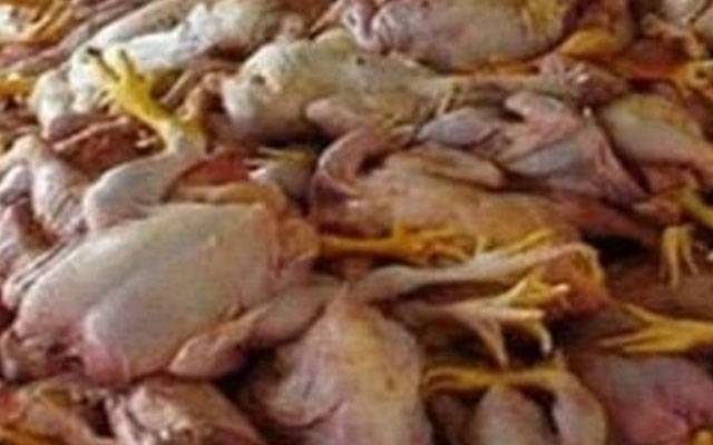 مرغی کا مضرصحت گوشت  پکڑا گیا