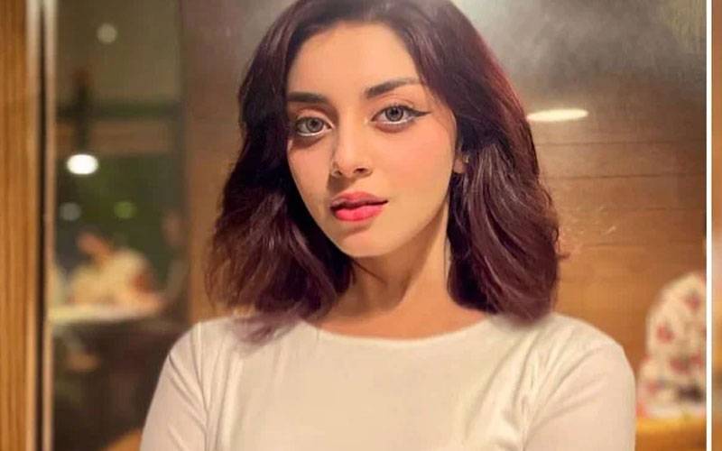 علیزے شاہ نے سوشل میڈیا کو پھر خیر باد کہہ دیا  