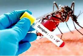 کے پی میں 24 گھنٹوں کے دوران ڈینگی کے 74 کیسز سامنے آگئے  