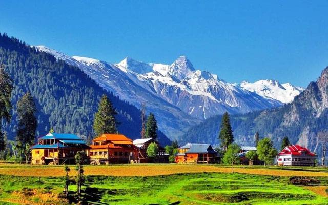 پاکستان پیپلز پارٹی نے آزاد کشمیر میں سب سے بڑی وِکٹ اُڑا دی ؟