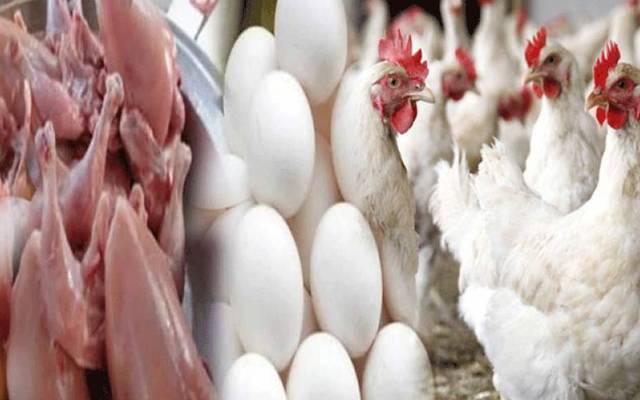 برائلر مرغی کے گوشت کی قیمت میں اضافہ