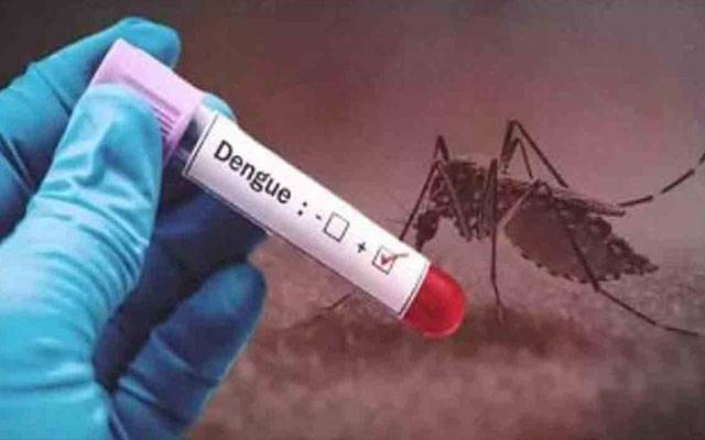 حیدر آباد ؛ 24 گھنٹوں کے دوران 201 افراد میں ڈینگی کی تصدیق