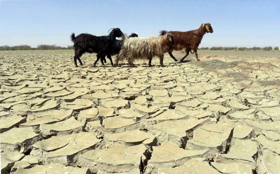 Baluchistan dought, City42, Met Department, Climate change, El nino , La nina 