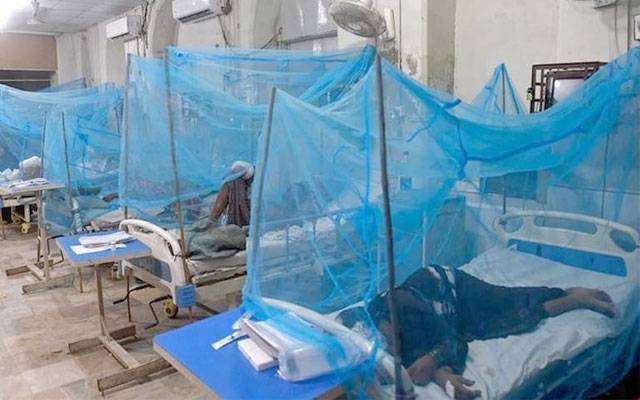 ملک بھر میں ڈینگی کے حملے، 24 گھنٹوں کے دوران ہزاروں کیسز رپورٹ